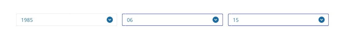 TDAC Date of Birth dropdowns showing year 1985, month 06, day 15